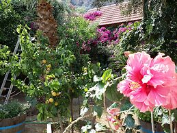 Exclusive Cottages are in S West Crete in a Quiet Olive Grove Near the