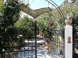 Exclusive Cottages are in S West Crete in a Quiet Olive Grove Near the