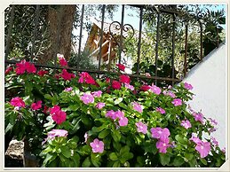 Exclusive Cottage in S West Crete in a Quiet Olive Grove Near the sea