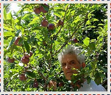 Exclusive Cottage in S West Crete in a Quiet Olive Grove Near the sea