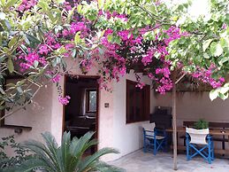 Exclusive Cottage in S. West Crete in a Quiet Olive Grove Near the Sea