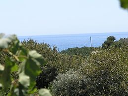 Exclusive Cottage in S West Crete in a Quiet Olive Grove Near the sea
