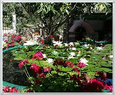 Exclusive Cottage in S West Crete in a Quiet Olive Grove Near the sea