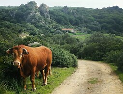 Bolonia Beach Cottage