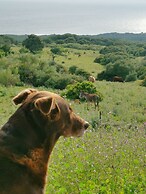 Bolonia Beach Cottage