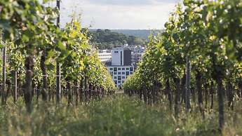 Holiday Inn - the niu, Form Stuttgart Feuerbach by IHG