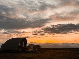 Amanya 1 -bed King Lion Tent