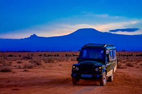 Amanya 1 -bed King Lion Tent