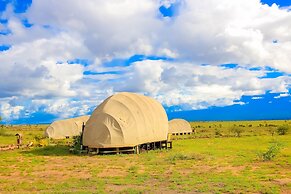 Amanya 1 -bed King Lion Tent