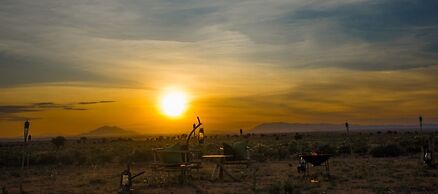 Amanya 1 -bed King Lion Tent