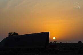 Amanya 2-rooms Lioness Family