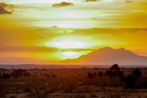 Amanya 2-rooms Lioness Family