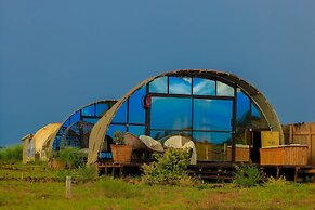 Amanya 2-rooms Lioness Family