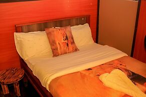 Amanya 2-rooms Lioness Family