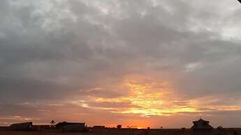 Amanya 2-rooms Lioness Family