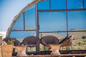 Amanya 2-rooms Lioness Family