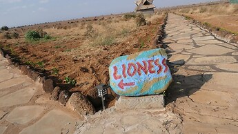 Amanya 2-rooms Lioness Family