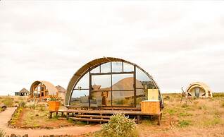 Amanya 2-rooms Lioness Family