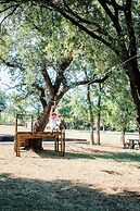 Rest yourself River Ranch
