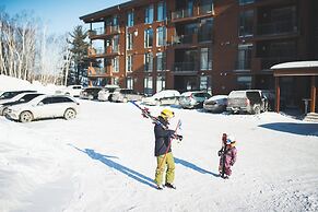 Les Caches de la Grande Pointe