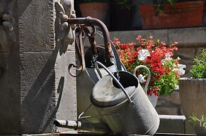 La Figuiere Fontaine de Vaucluse
