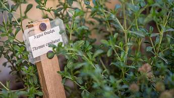 Villa Theta  with private pool