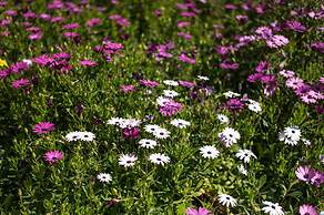 Plaque Panoramic SeaView Villa