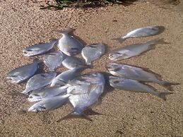 Holiday Home By The Sea
