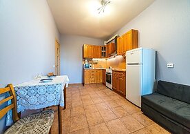 Apartment near Center Almazova 3