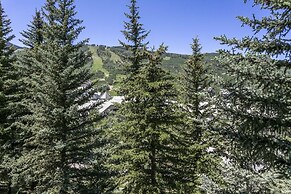 Beaver Creek 326 Kiva Condo easy access to Ski in/Ski Out by RedAwning