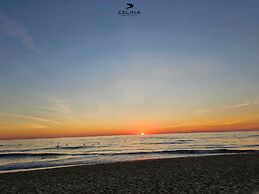 Celina Peninsula Resort