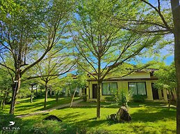 Celina Peninsula Resort