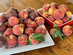 La Casa Toscana - Apt Castello 7 km by the sea