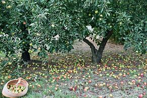 La Casa Toscana - Apt Castello 7 km by the sea