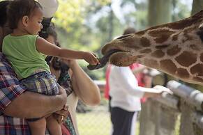 Avid Hotels Melbourne Viera by IHG