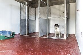 Ashgrove Farm - Llawhaden - Narberth