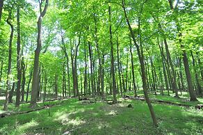 A Serenity Station - A Serene Experience