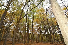 A Serenity Station - A Serene Experience