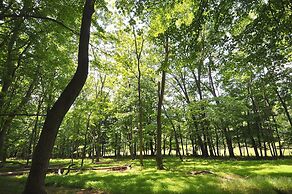 A Serenity Station - A Serene Experience