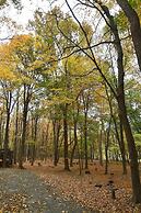 A Serenity Station - A Serene Experience