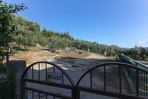 Apartments Villa Alex