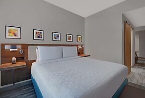 Hilton Garden Inn Houston Medical Center, TX