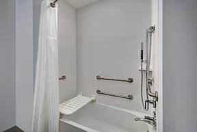 Hilton Garden Inn Houston Medical Center, TX