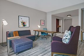 Hilton Garden Inn Houston Medical Center, TX