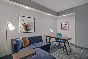 Hilton Garden Inn Houston Medical Center, TX