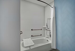 Hilton Garden Inn Houston Medical Center, TX