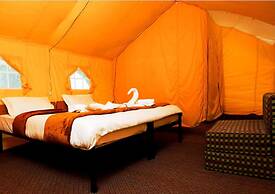 TIH AlpenGlow Camp - Nubra