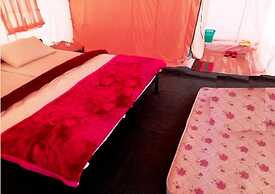 TIH AlpenGlow Camp - Nubra