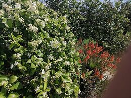 Authentic Sicilian Charm With Pool, Sea View, Parking & Wifi