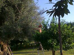 Authentic Sicilian Charm With Pool, Sea View, Parking & Wifi